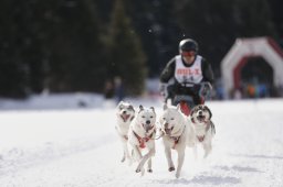 Lenzerheide 2013